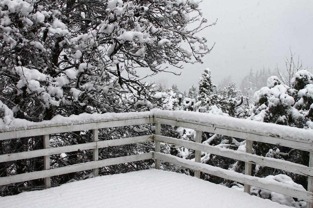 Pajaro Azul Bed & Breakfast San Carlos de Bariloche Bagian luar foto