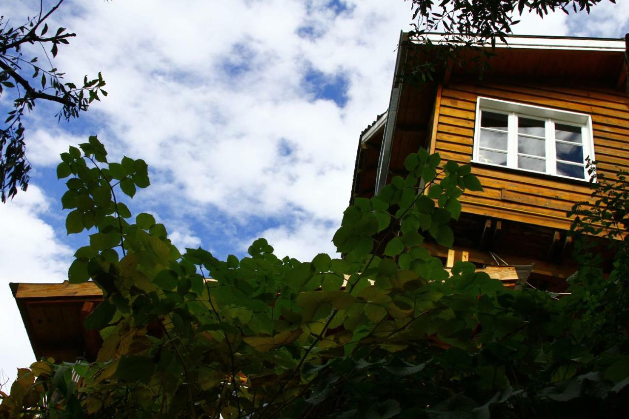 Pajaro Azul Bed & Breakfast San Carlos de Bariloche Bagian luar foto