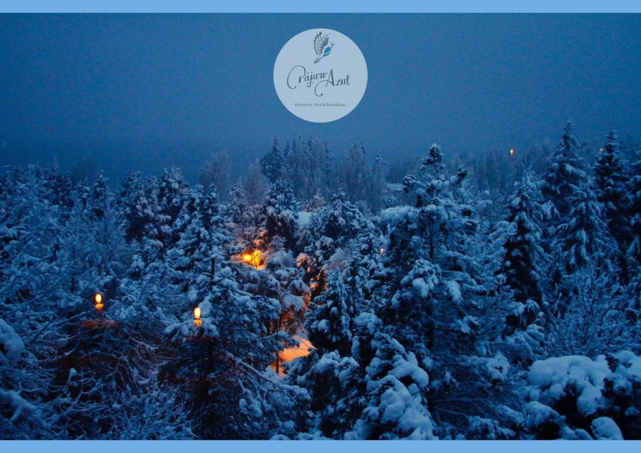 Pajaro Azul Bed & Breakfast San Carlos de Bariloche Bagian luar foto